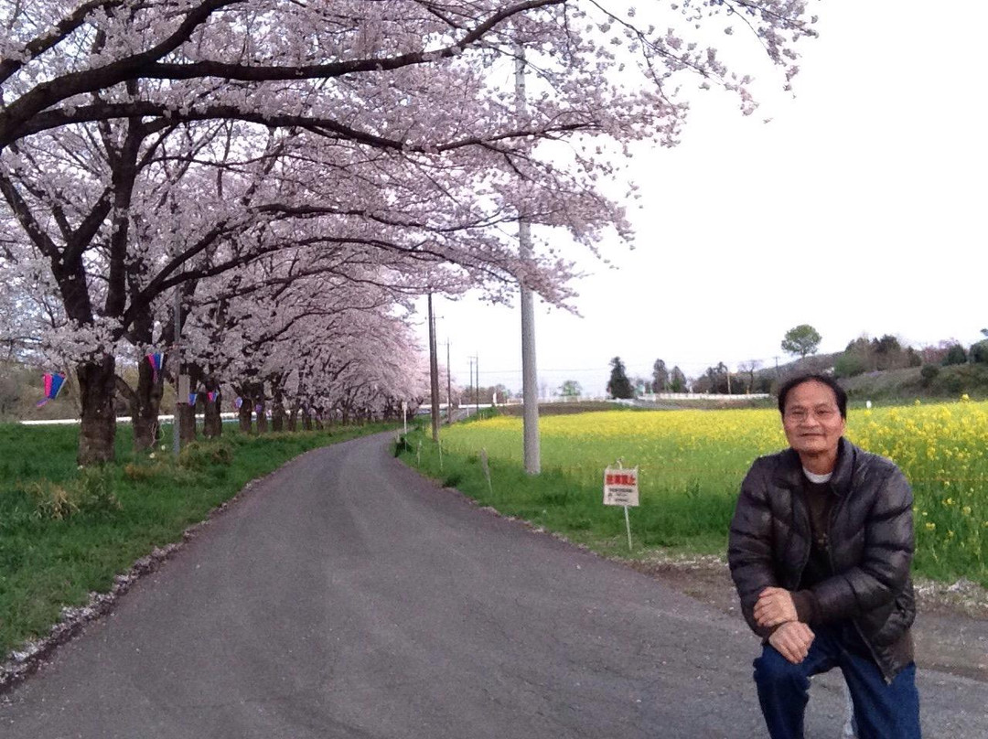 Mt. Ohirayama-岚山町必去景点