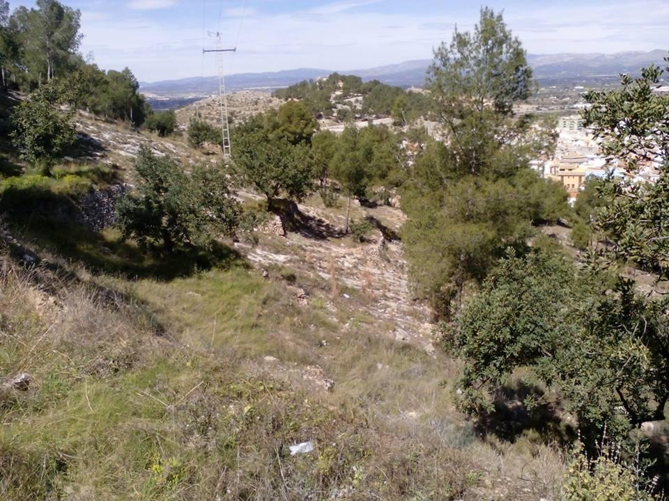 Poblado Iberico Edeta景点图片