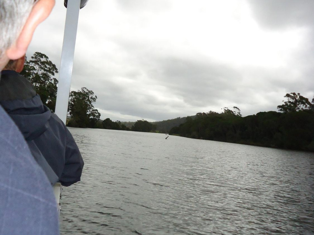 Captain John Gerard's Wilderness River Cruises景点图片