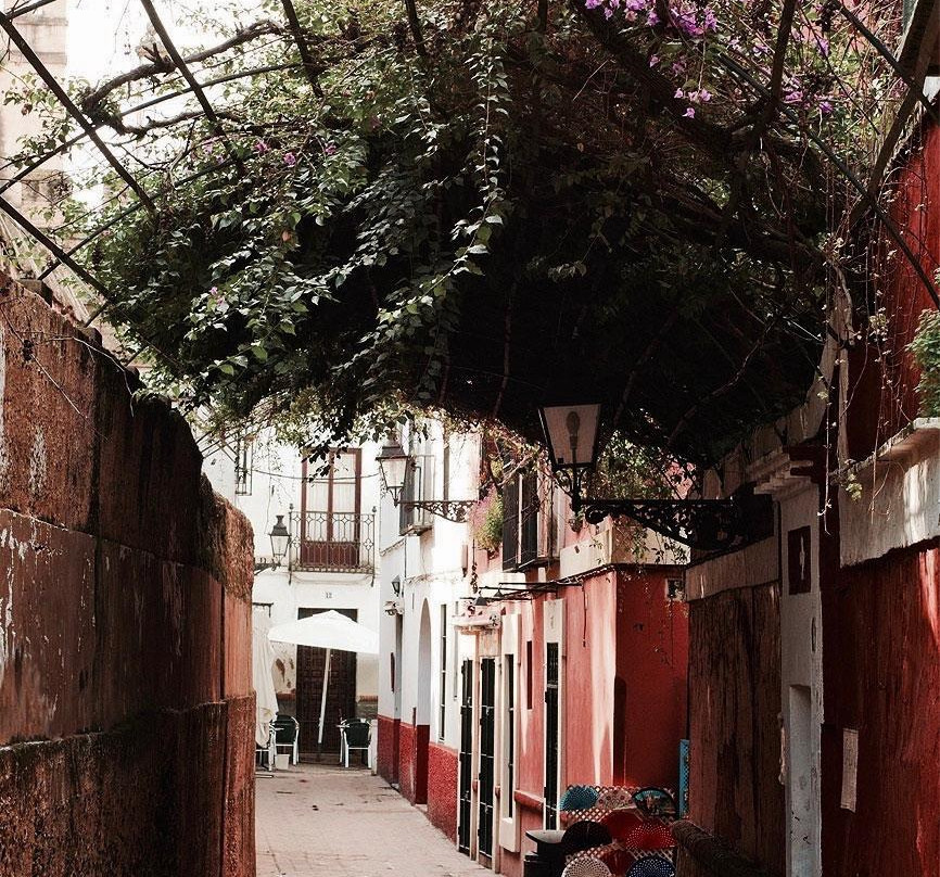 Sevilladiscover Tours-塞维利亚必去景点