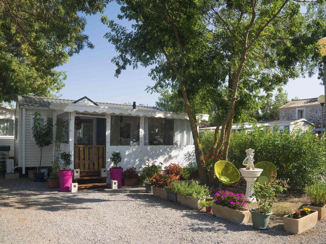 Camping le Pin Parasol
