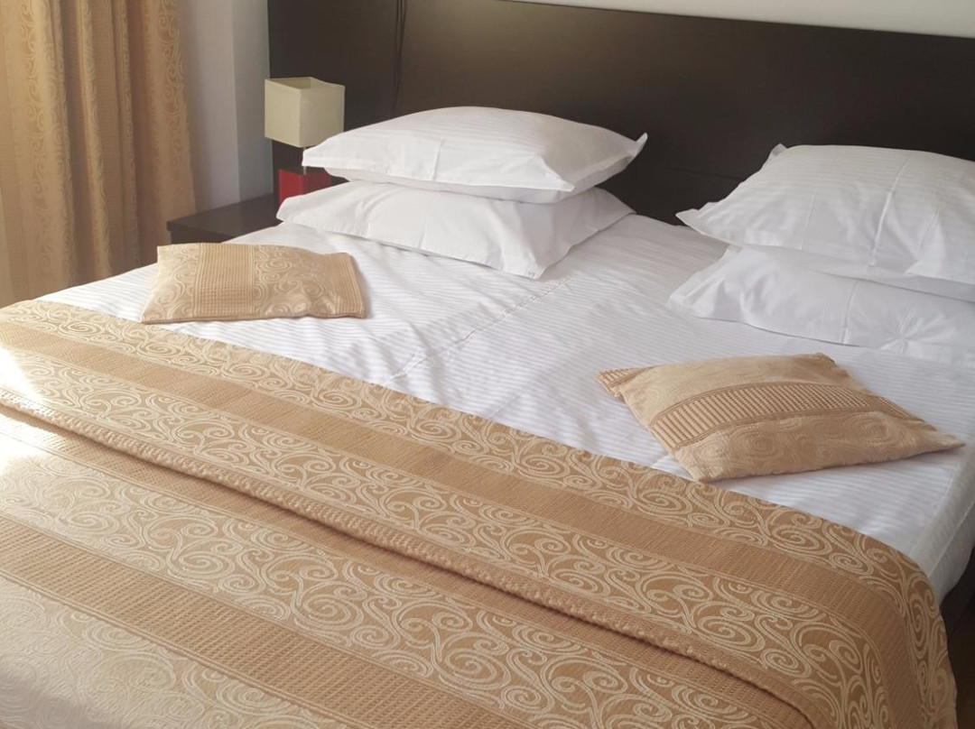 Hotel Silvia Apart Sinaia