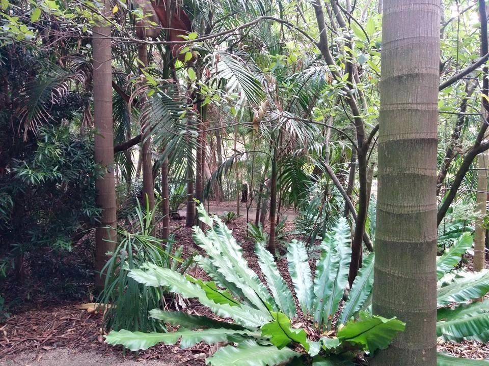 Maranoa Gardens-博文必去景点