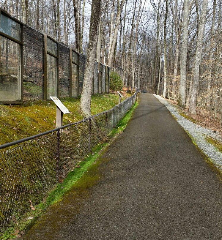 West Virginia State Wildlife Center景点图片
