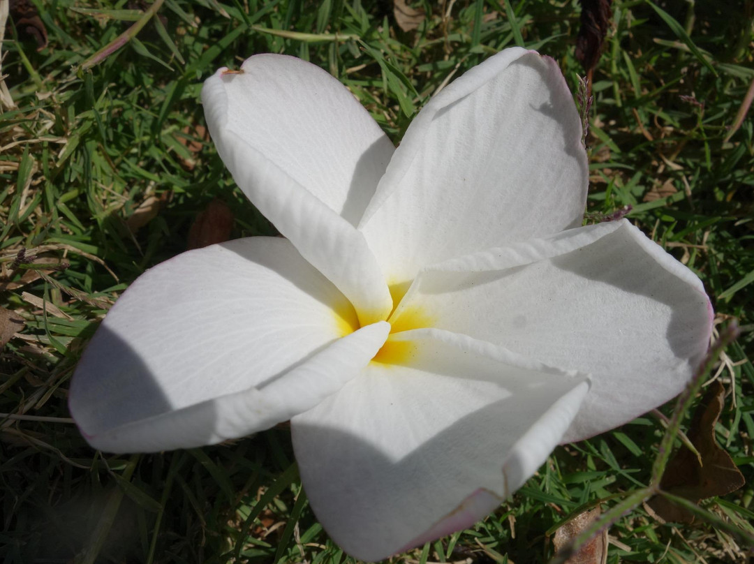 Nabi Umran A.S Tomb-塞拉莱必去景点