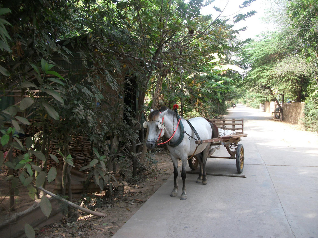 Koh Paen Island-磅湛必去景点