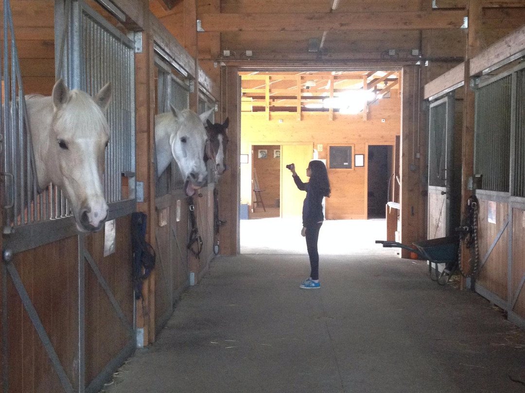 Pódio D'Aventura Equestrian Center景点图片