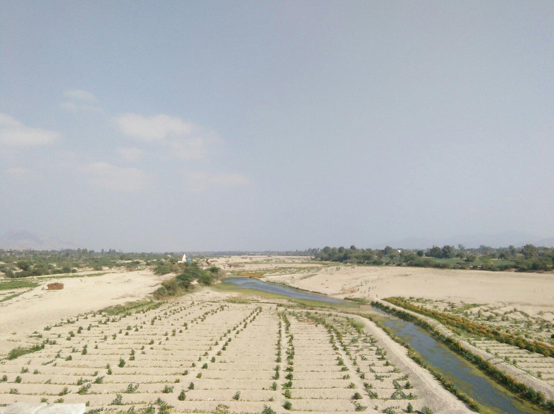 Balaram Ambaji Wildlife Sanctuary‎景点图片