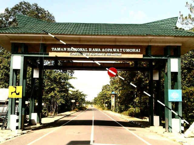 Taman Nasional Rawa Aopa Watumohai景点图片