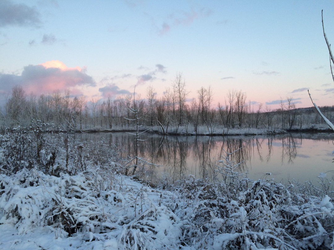 Millennium Park-Walker必去景点
