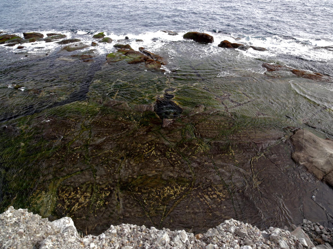 Suzaki Ebisu Island景点图片