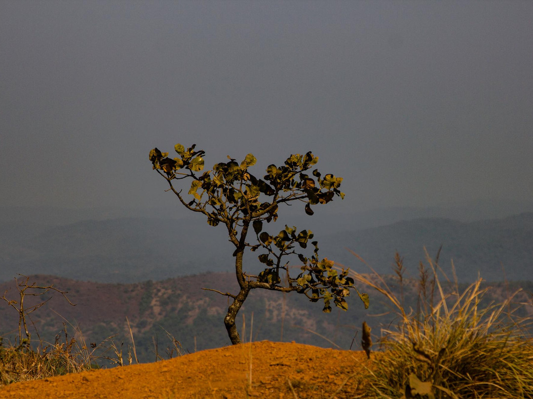 Mookambika Wildlife Sanctuary景点图片