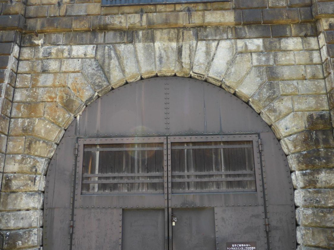 Ohikage Tunnel Walkway景点图片