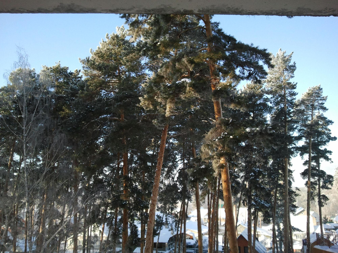 Dom Otdyiha Serebryanyij Bor