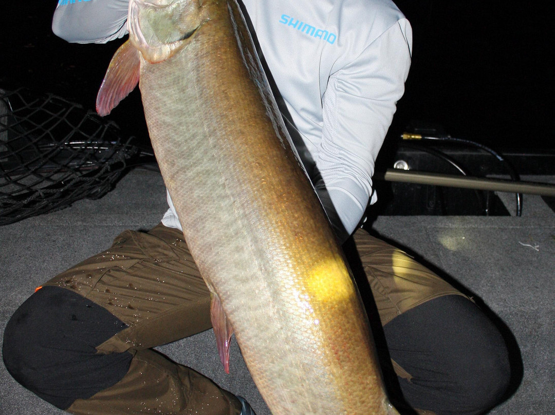 Tank Industries Guide Service-凯诺拉必去景点