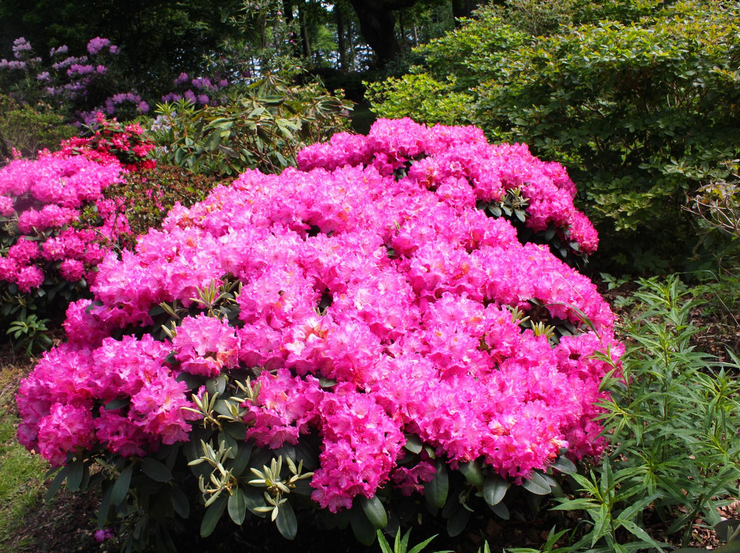Nivaagaard Park-尼瓦必去景点