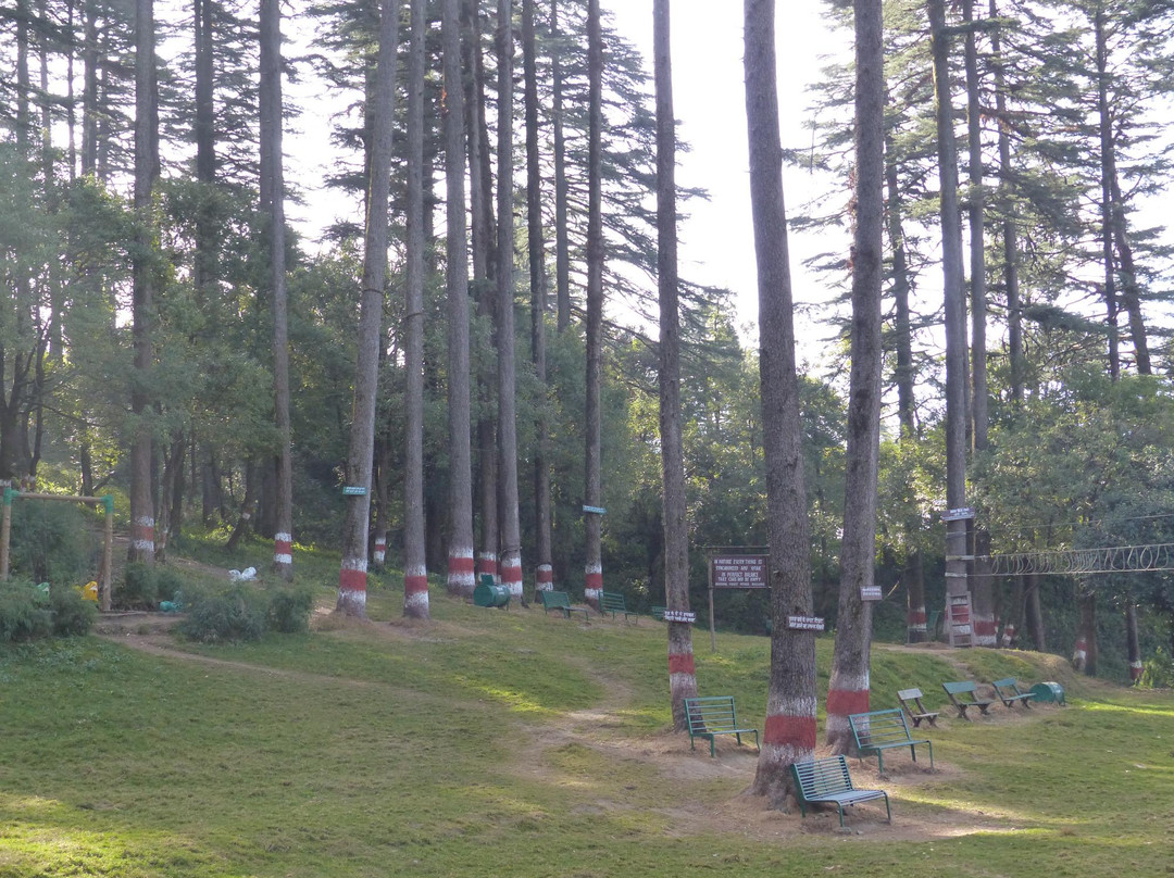 Dhanaulti Adventure Park景点图片