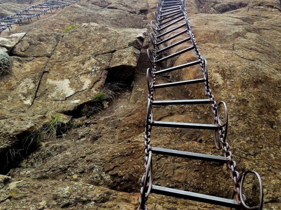 Dragons' Van - Day Tours-柏维必去景点