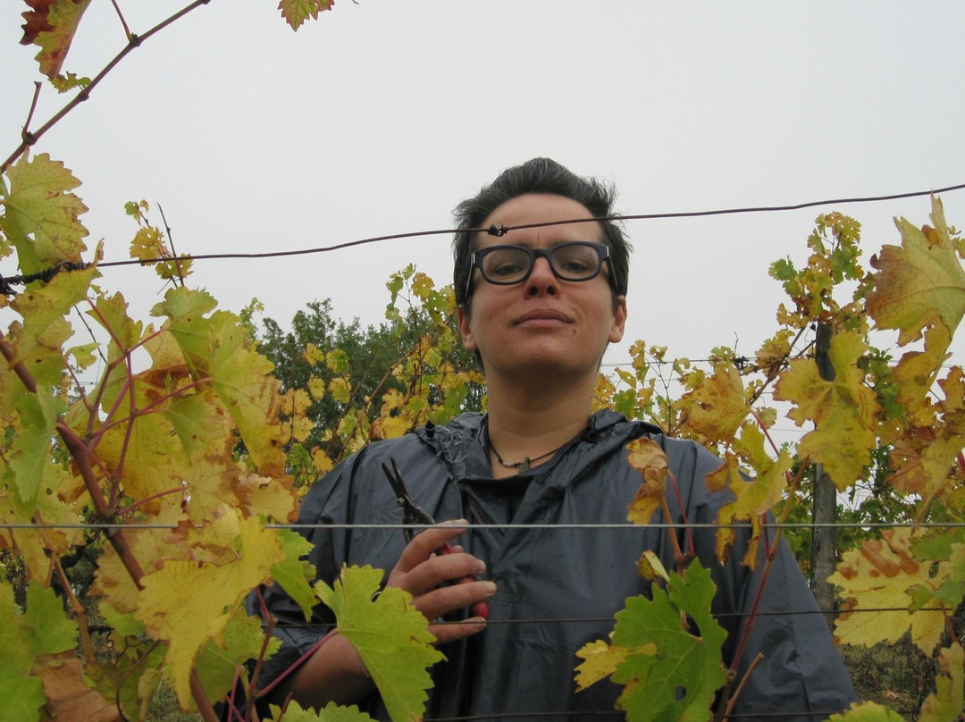 Domaine de Herrebouc景点图片