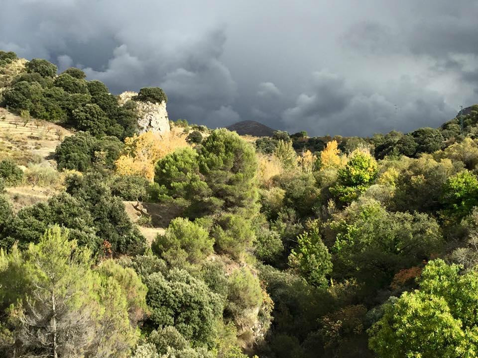 Cortijo La Argumosa主图