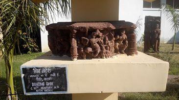 Rani Durgavati Museum-贾巴尔普尔必去景点