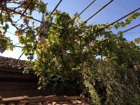 Tomor Shehu Guest House-客卧