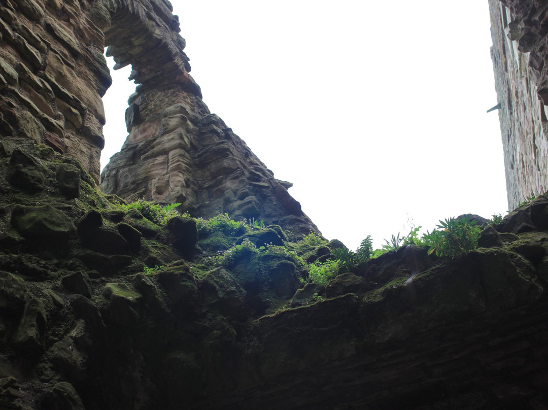 Tour Scotland with Lyn-格拉斯哥必去景点