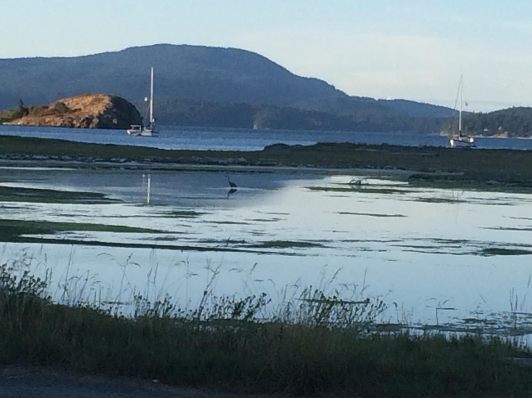 Spencer Spit State Park景点图片