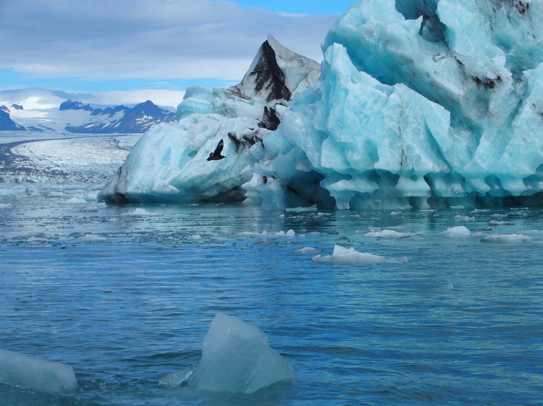 南部地区旅游攻略图片