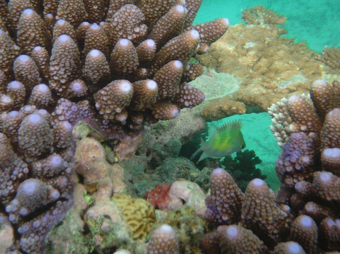 Doini Island Skull Cave景点图片