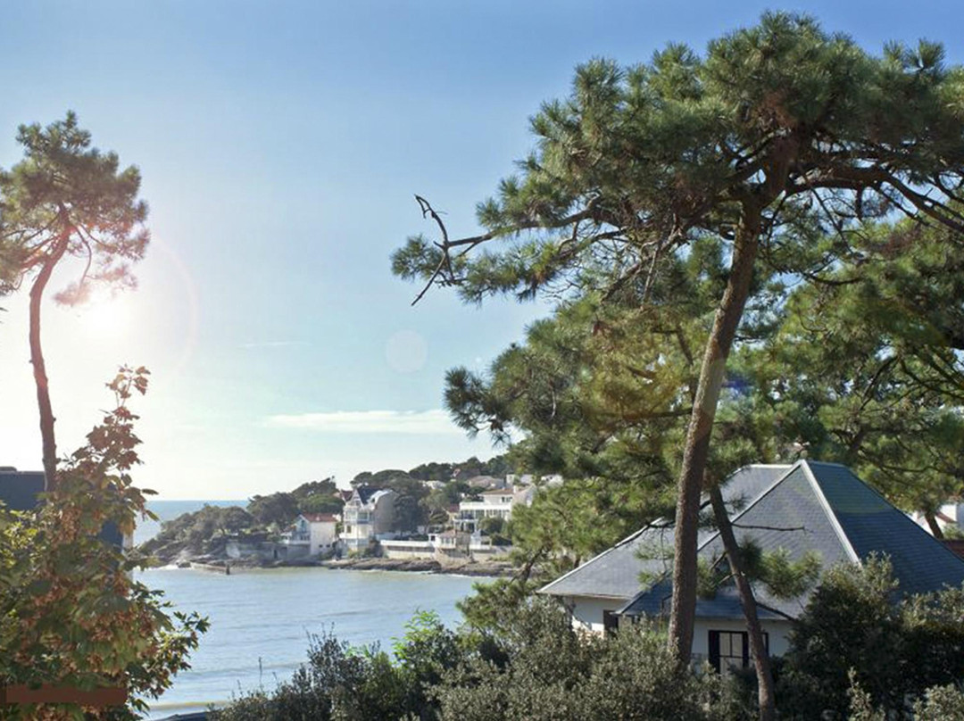 Saint-Palais-sur-Mer旅游攻略图片