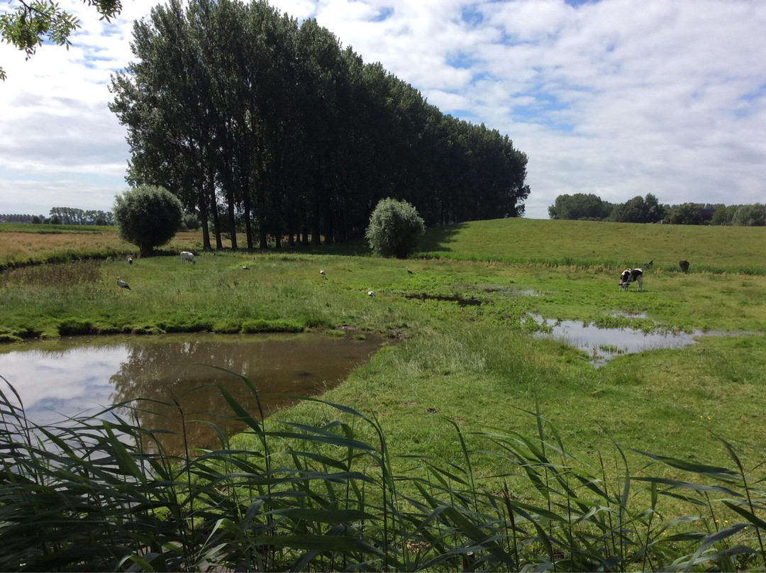 Vespa Tours Brugge-布鲁日必去景点