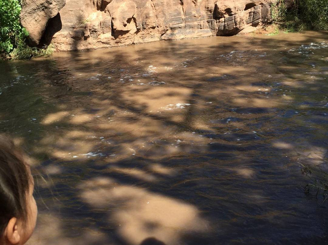 Jemez National Recreation Area景点图片