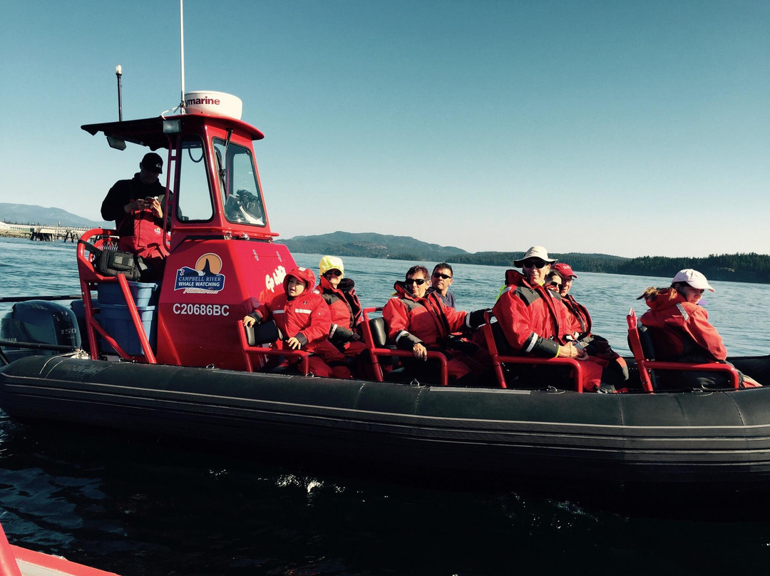 Campbell River Whale Watching and Adventure Tours-坎贝尔里弗必去景点