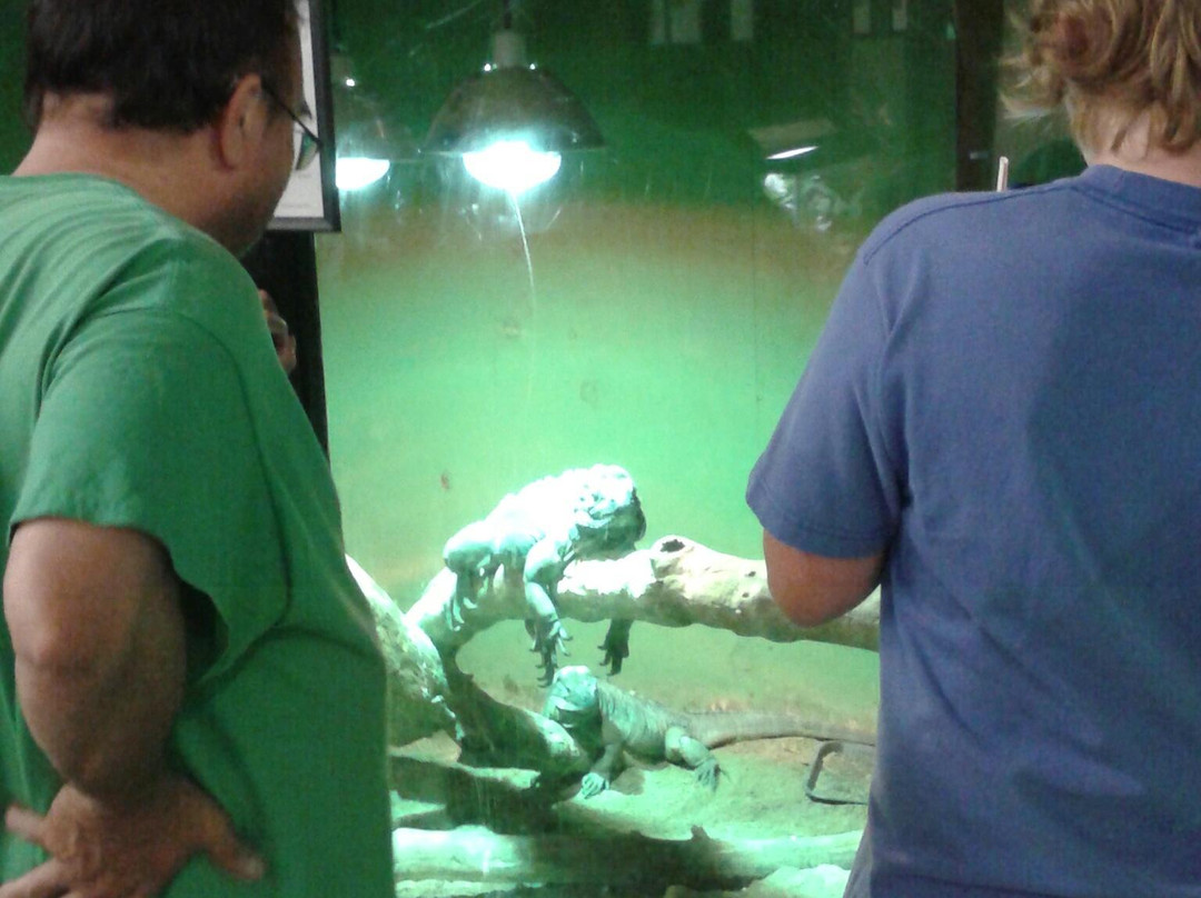RAD Zoo (Reptile Amphibian Discovery Zoo)景点图片