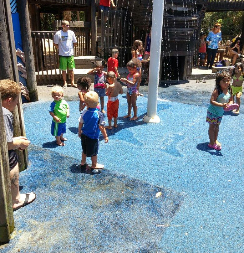 Sugar Sand Park-博卡拉顿必去景点