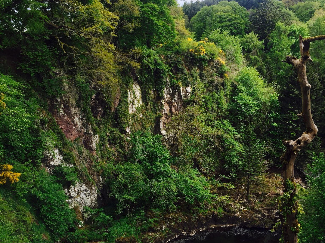 Reekie Linn-Kirriemuir必去景点