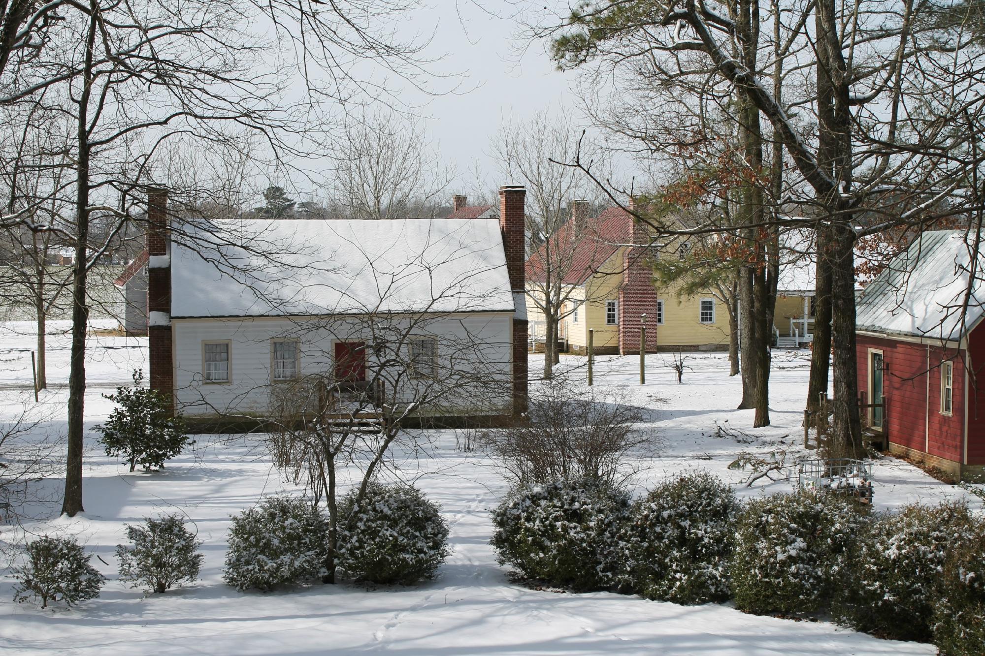 Beechtree Inn-官方