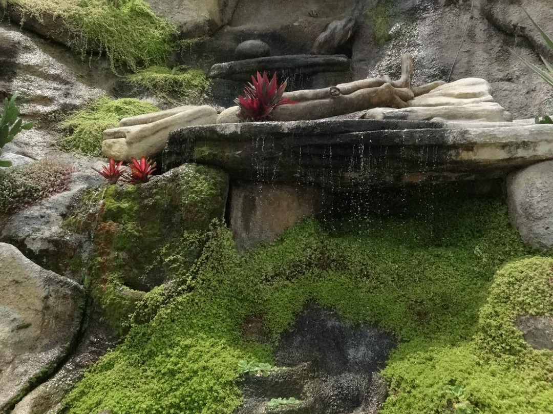 Museum of Valongo Wharf-里约热内卢必去景点