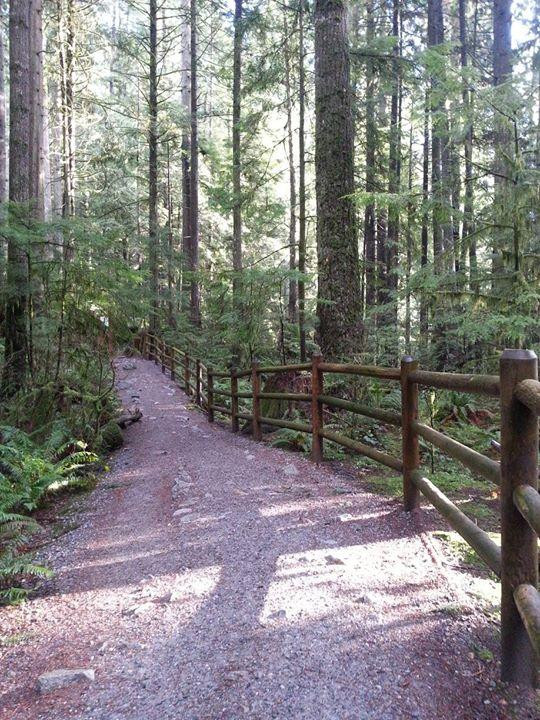 Lynn Canyon Suspension Bridge-北温哥华必去景点