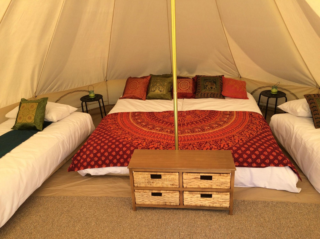 Hampsley Hollow Boutique Camping