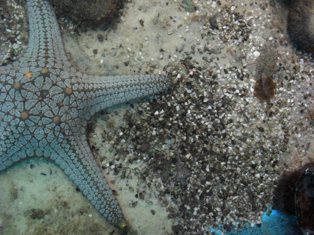 越南国家海洋博物馆-芽庄必去景点
