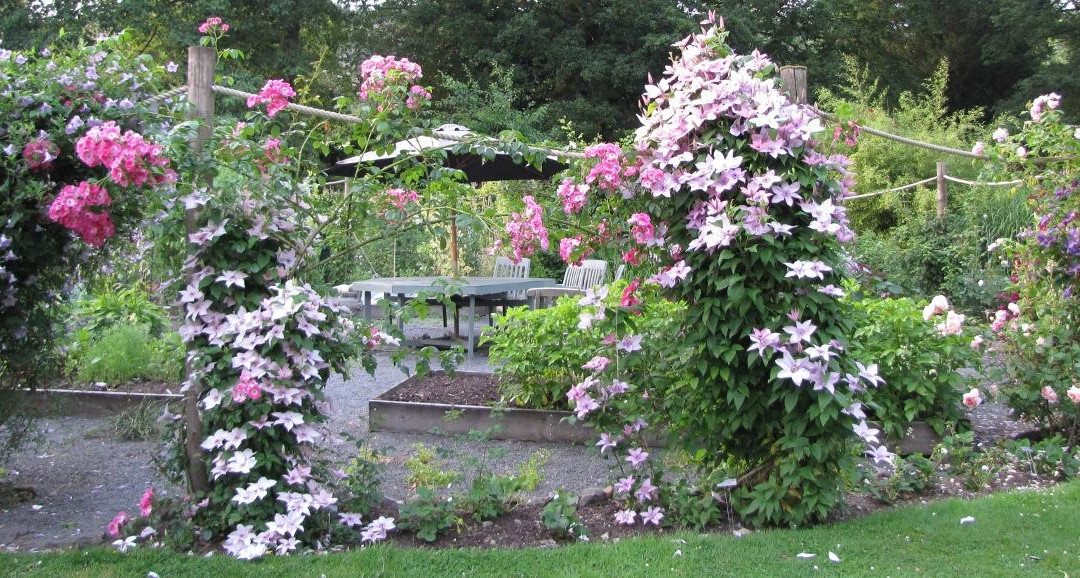 Newtonairds Hostas and Garden景点图片