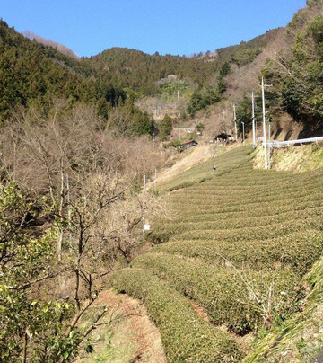 Mt. Shoto-桧原村必去景点