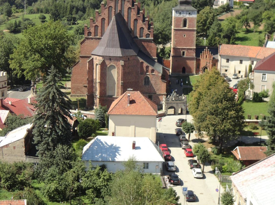 Historic Town Hall - Ratusz景点图片