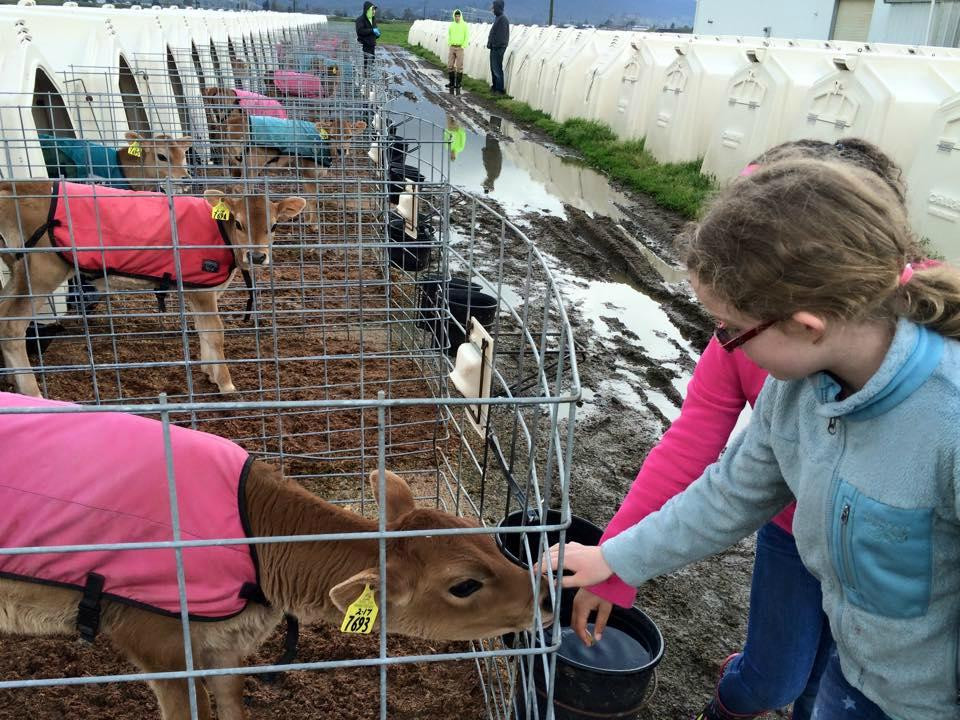 Tillamook Eco Adventures- Day Tours景点图片