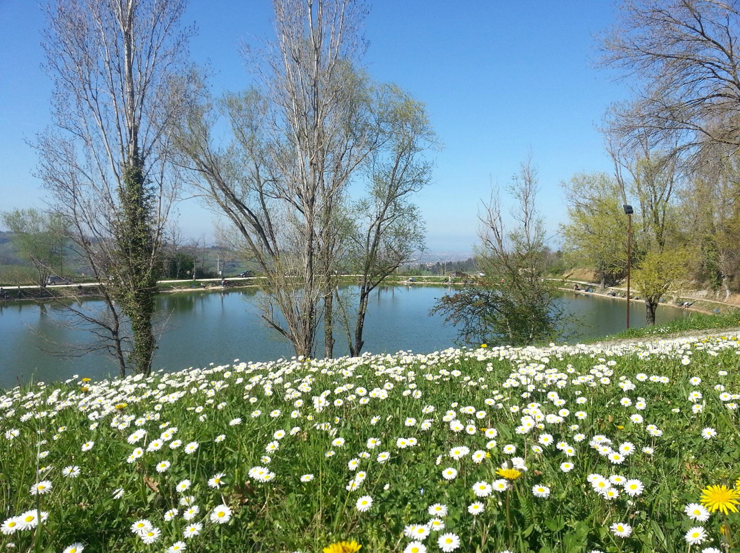 Lago di Monteleone景点图片