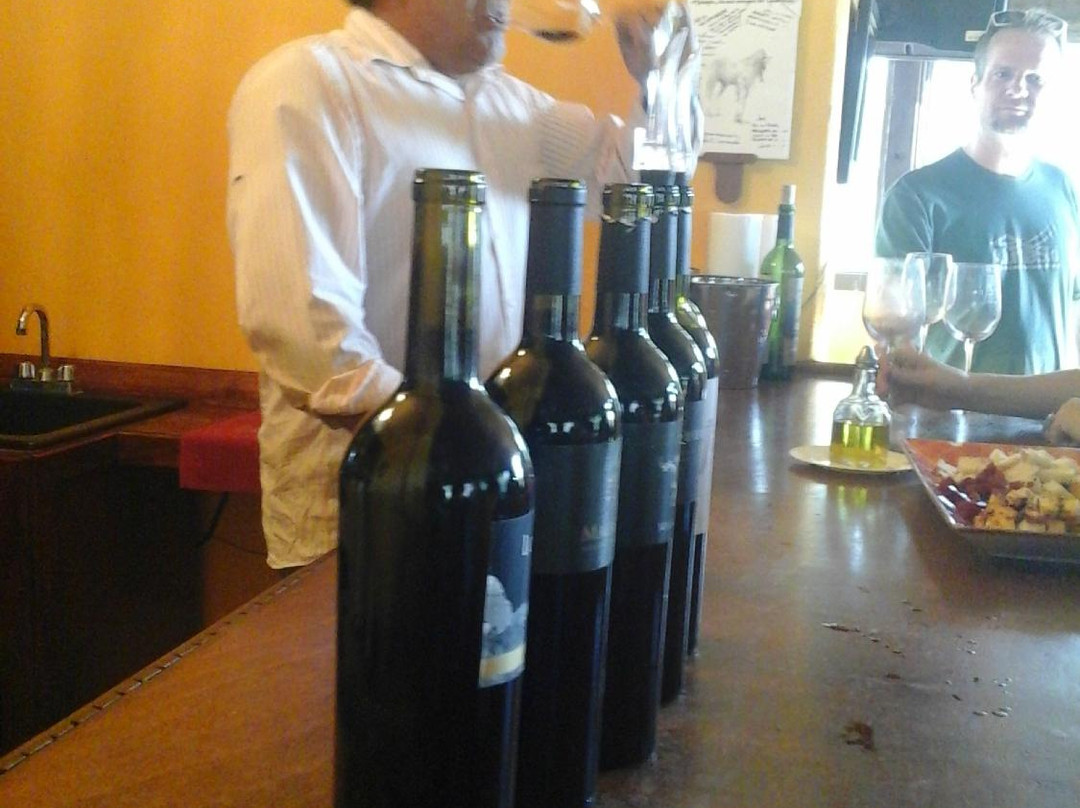 Baja Luxury Wine Tours景点图片