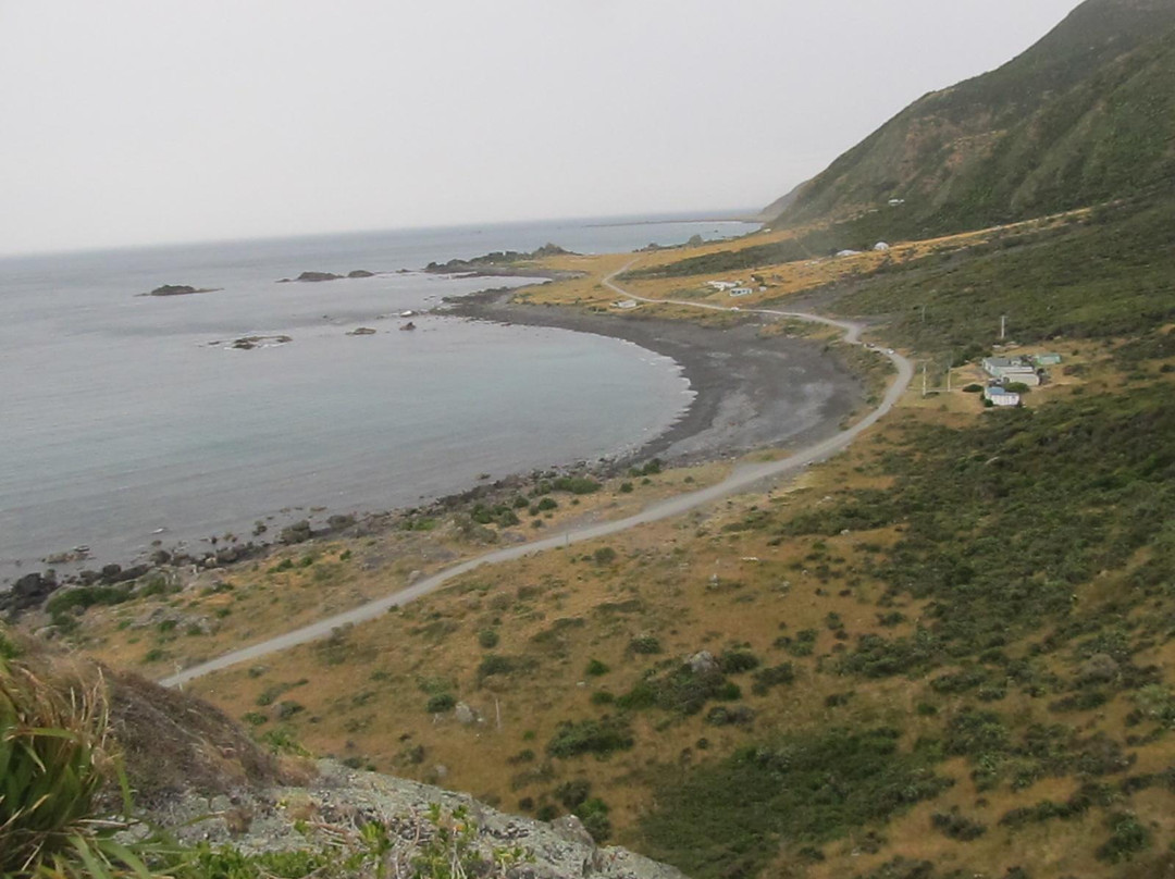Cape Palliser Lighthouse景点图片