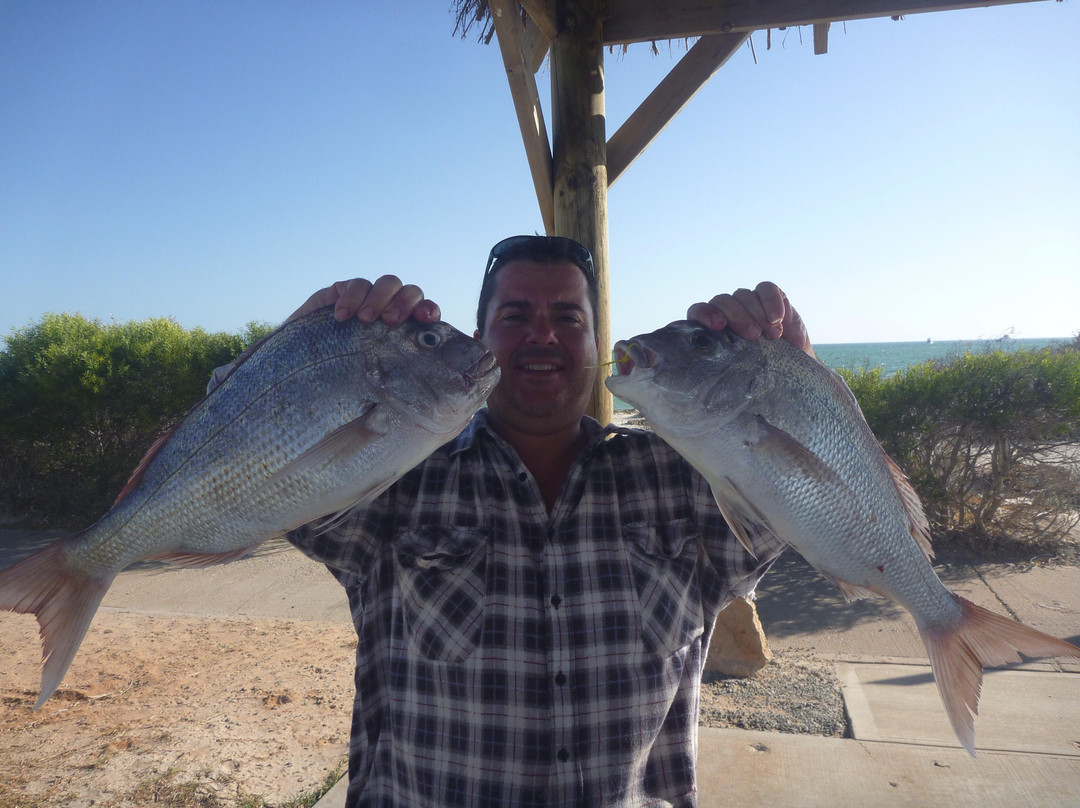 Mac Attack Fishing Charters-德纳姆必去景点